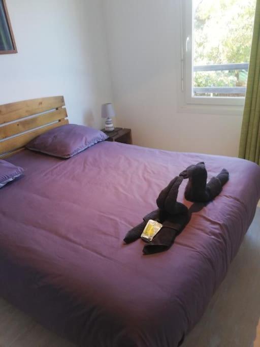 Le Nid Apartman Aureilhan Kültér fotó